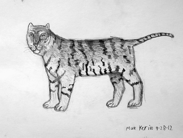 Tiger