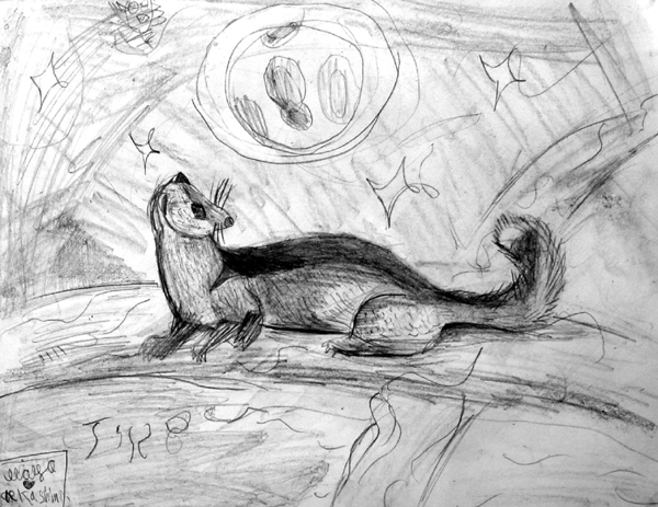 Mink