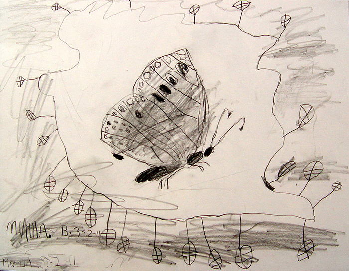 Butterfly