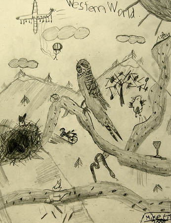 Birds