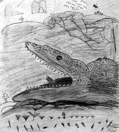 Crocodile