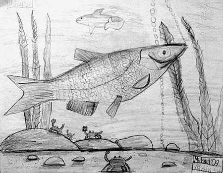 Fish
