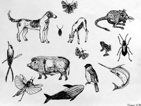 Marker_sketches
