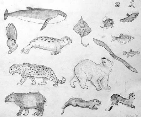 Sketches_2
