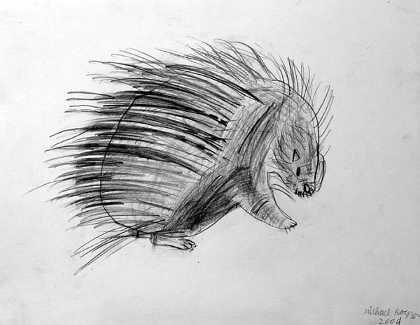 Porcupine