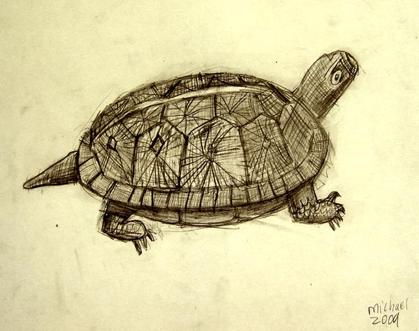 Turtle