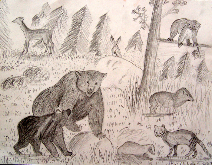 Animals_2
