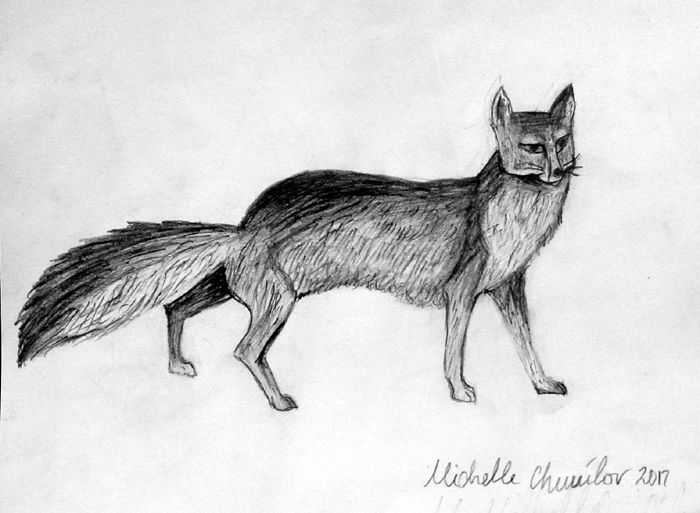 Fox