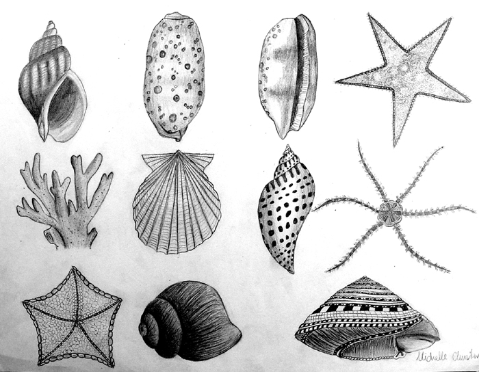 Shells