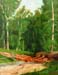 Landscape_4._(study)