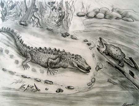 Crocodile