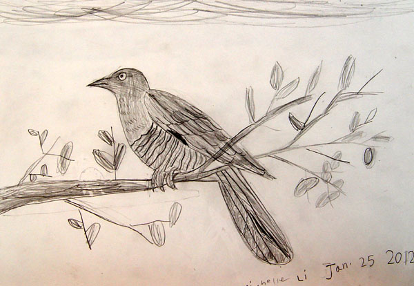 Bird_2