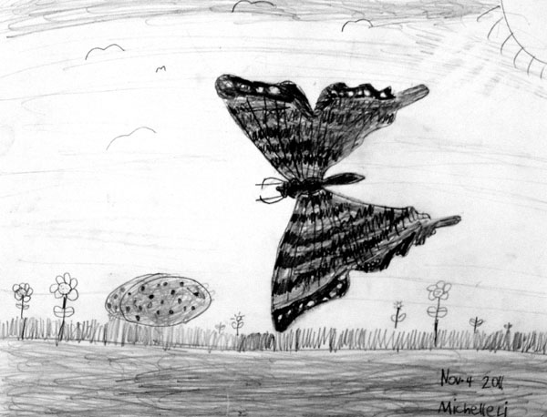 Butterfly