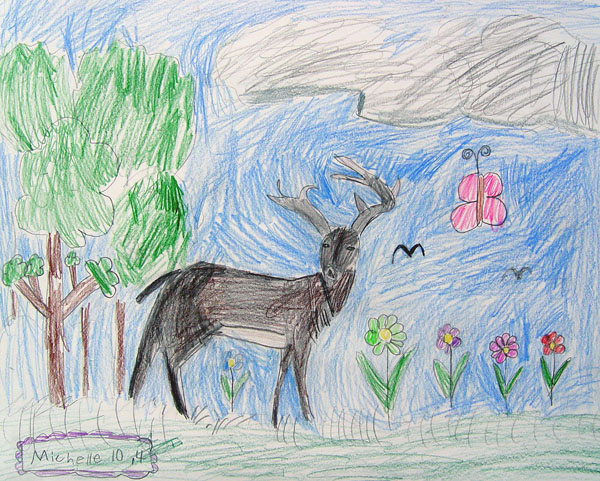 Deer