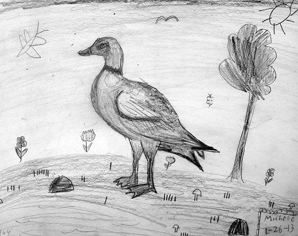 Duck