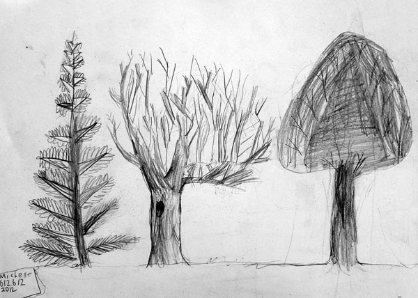 Trees_2
