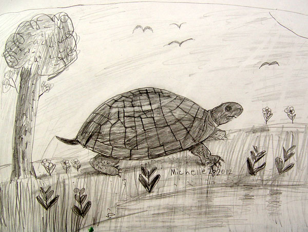 Turtle