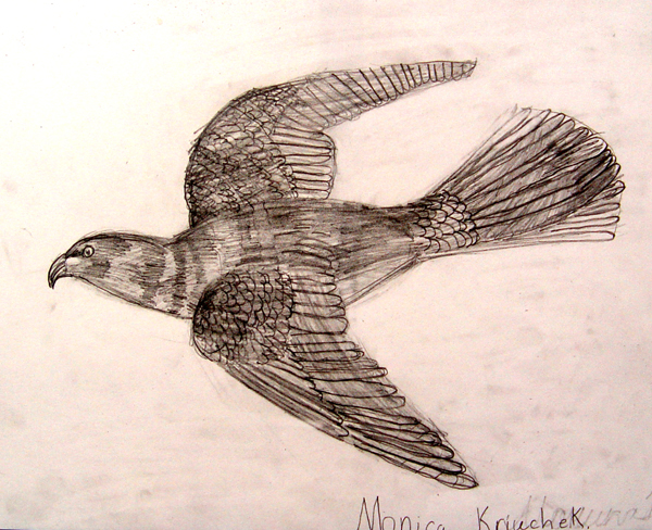 Bird