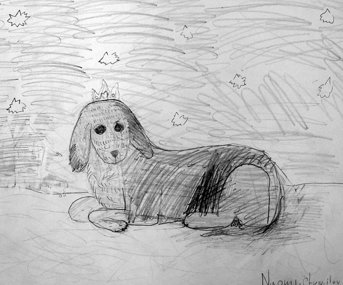 Dog