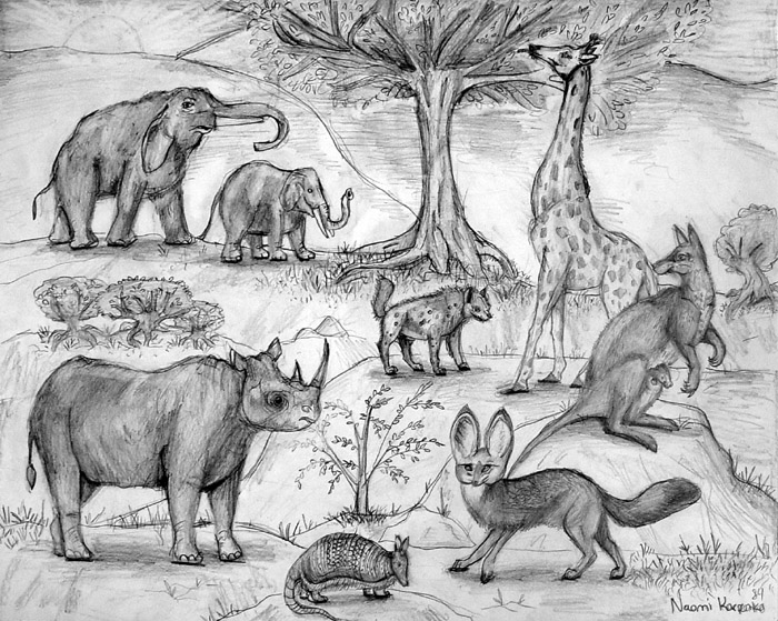 Animals_1