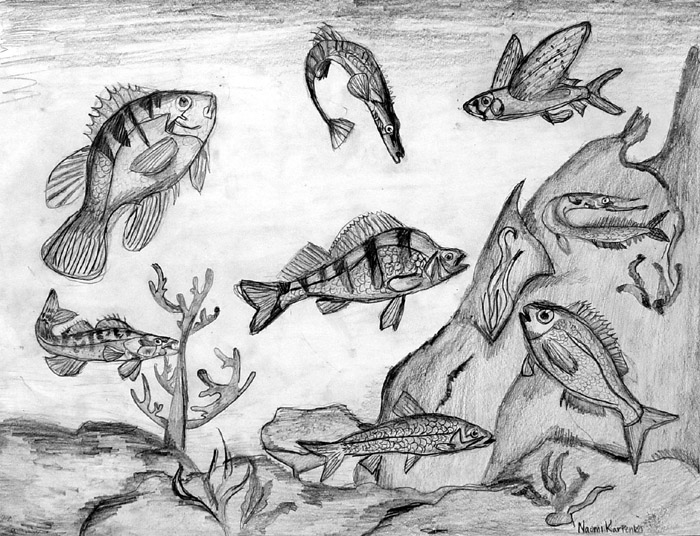 Fish_2