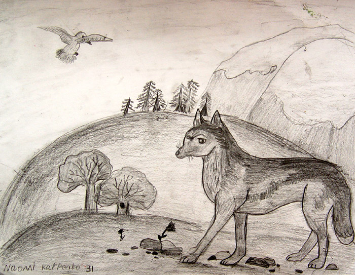 Fox