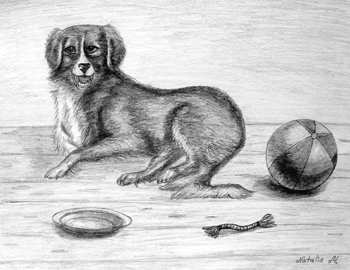 Dog