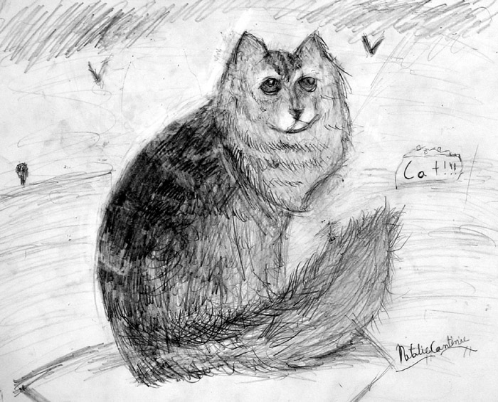 Cat