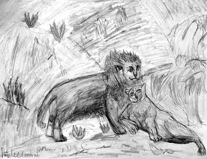 Lions
