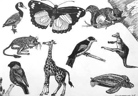 Sketches_(ink)