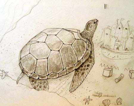 Turtle