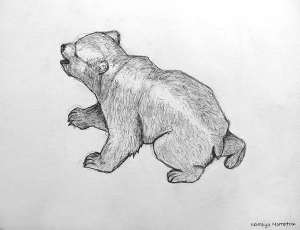 Polar_bear