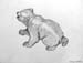 Polar_bear