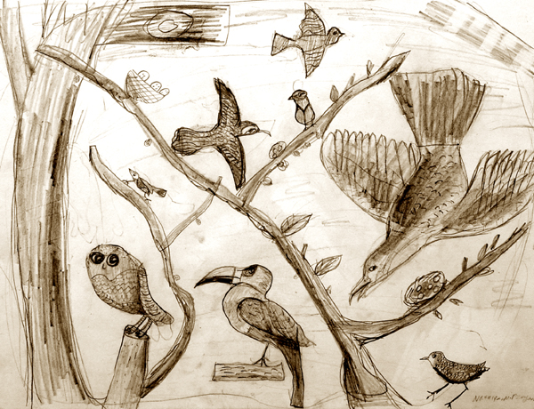 Birds