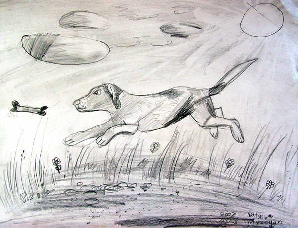 Dog