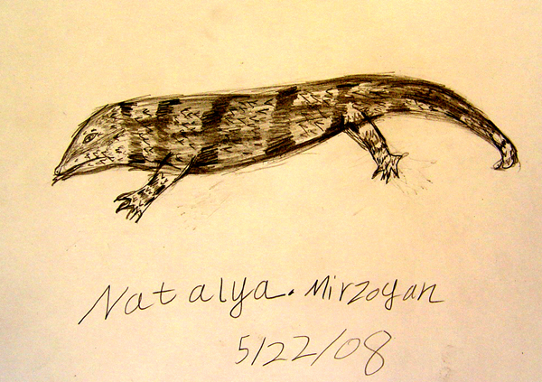 Lizard_2