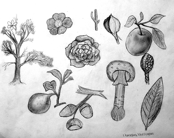 Sketches_2