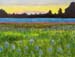 Landscape_6_oil