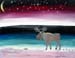 Moose