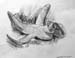 Sketch_1