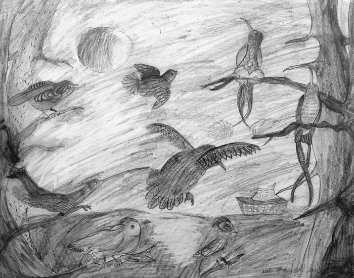 Birds