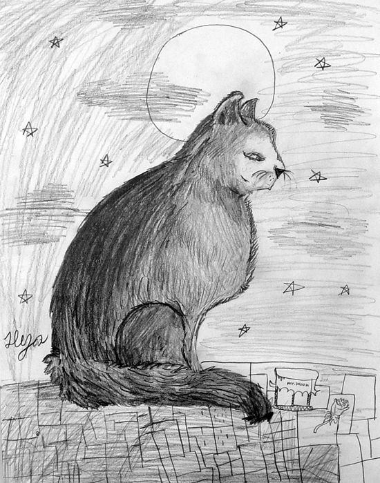 Cat