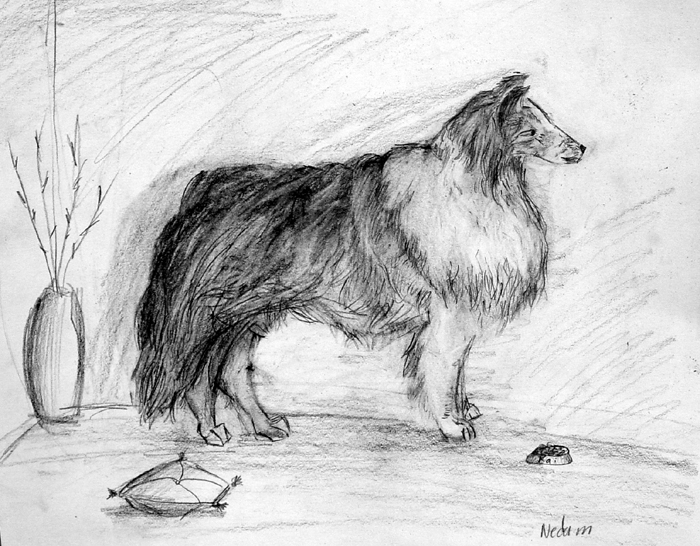 Dog