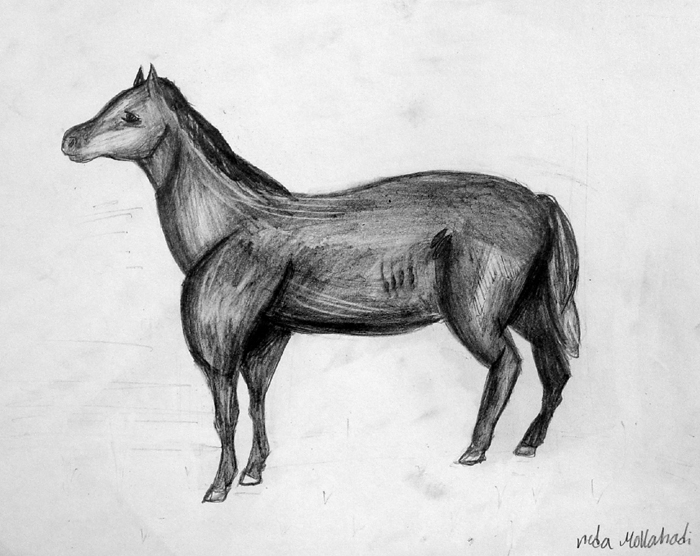Horse