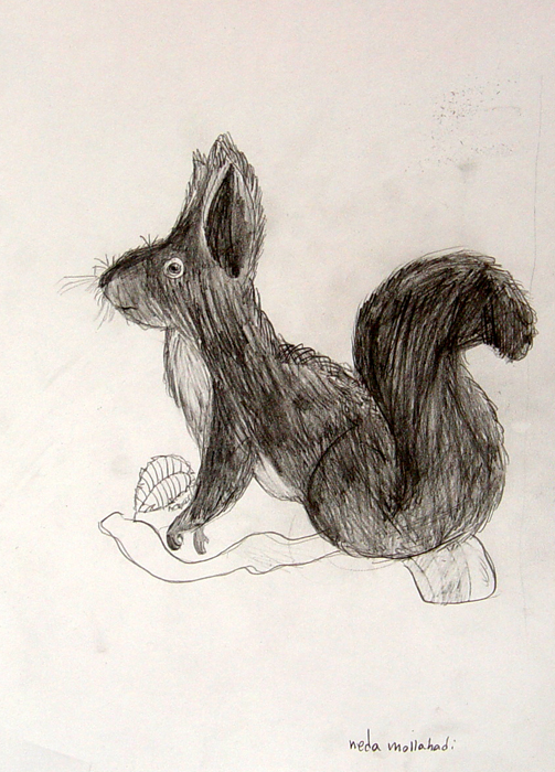 Squirrel
