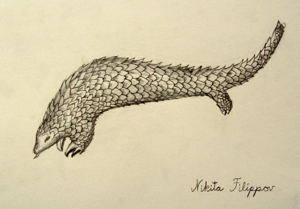 Animal_1