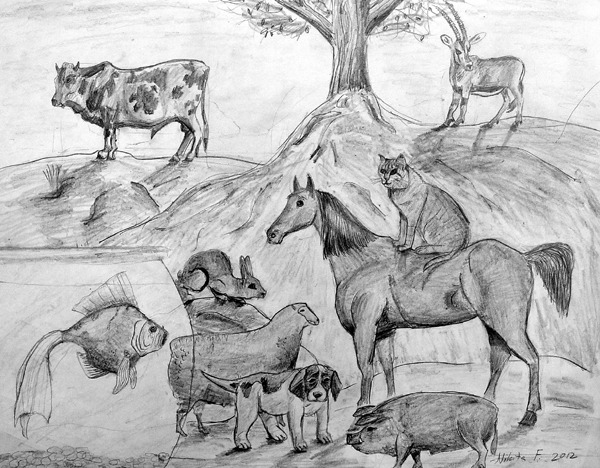 Animals_and_fish