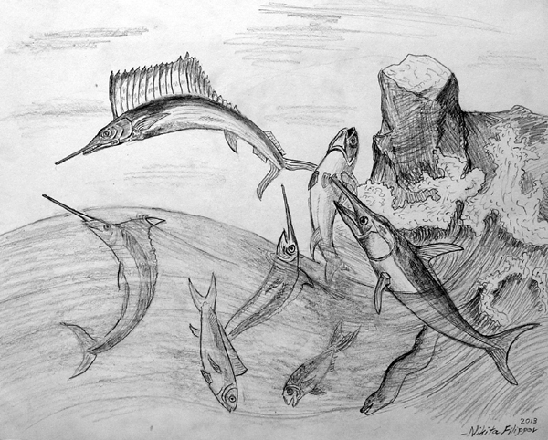 Fish