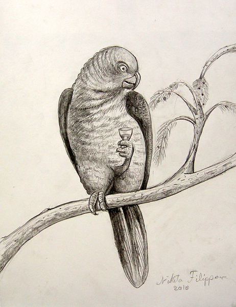 Parrot
