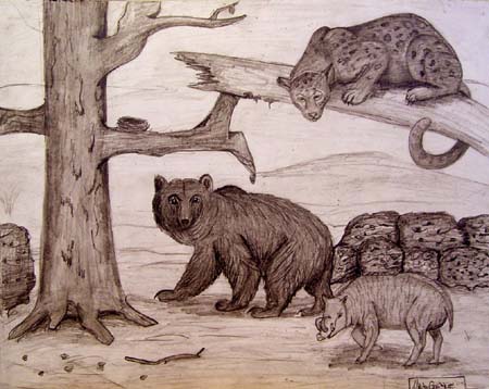 Animals